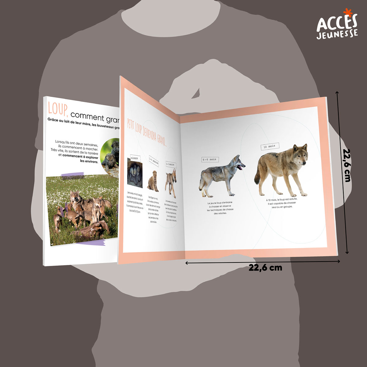 Documentaire le loup miniature acces jeunesse