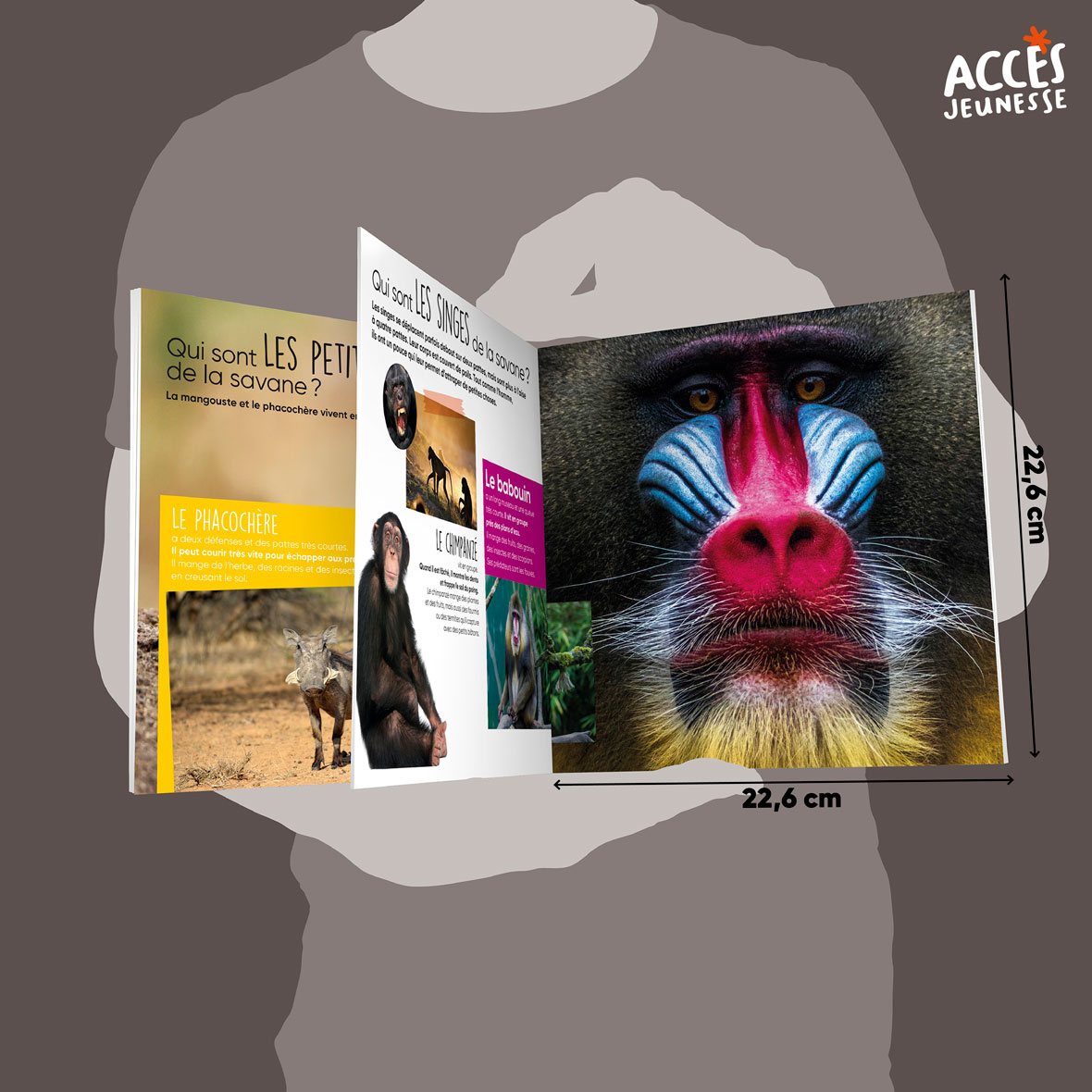 Documentaire la savanne miniature acces jeunesse
