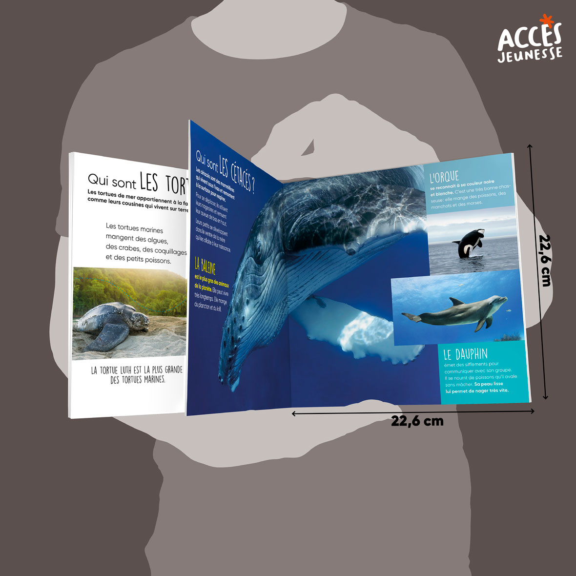 Documentaire les fonds maris miniature acces jeunesse