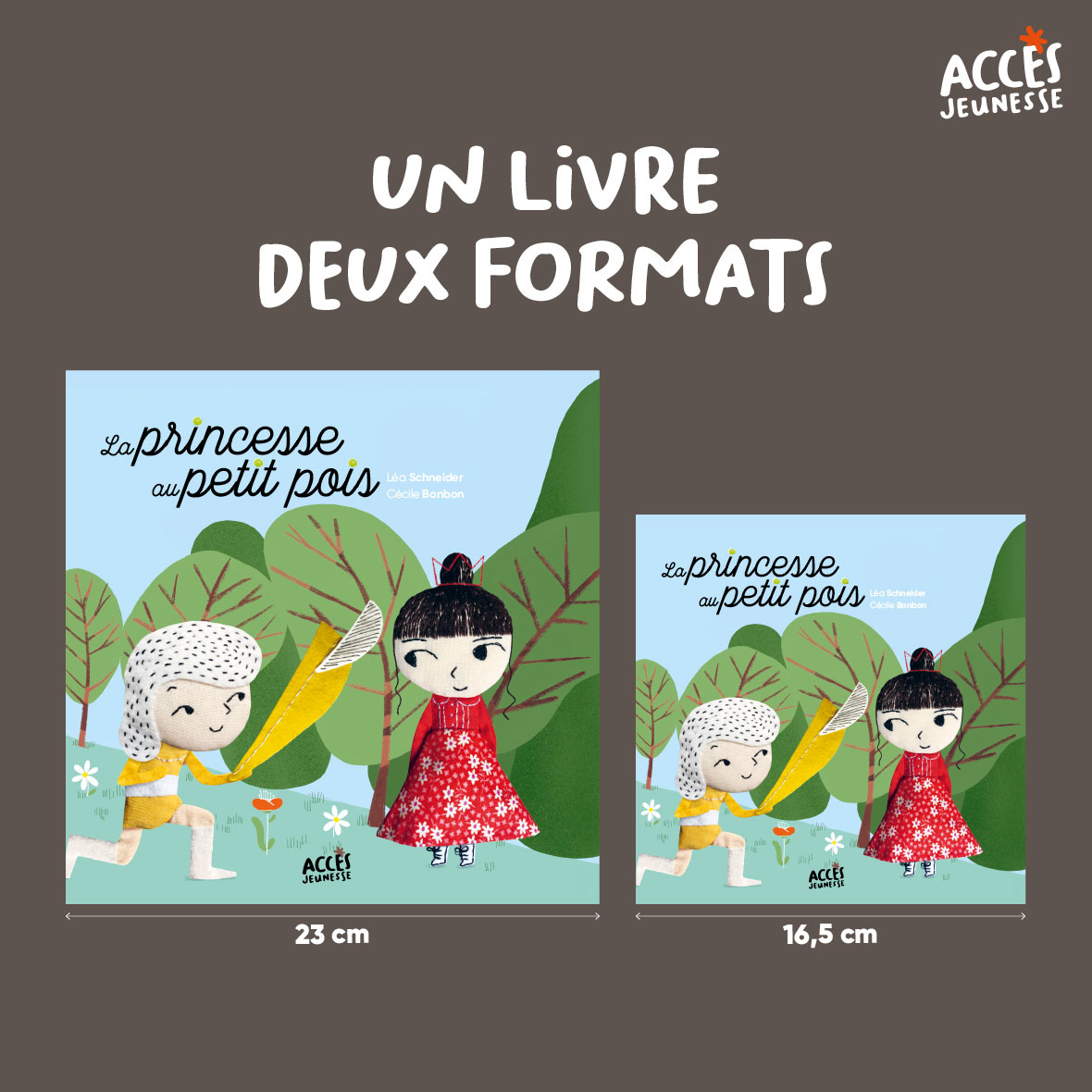 La princesse au petit pois miniature format acces jeunesse