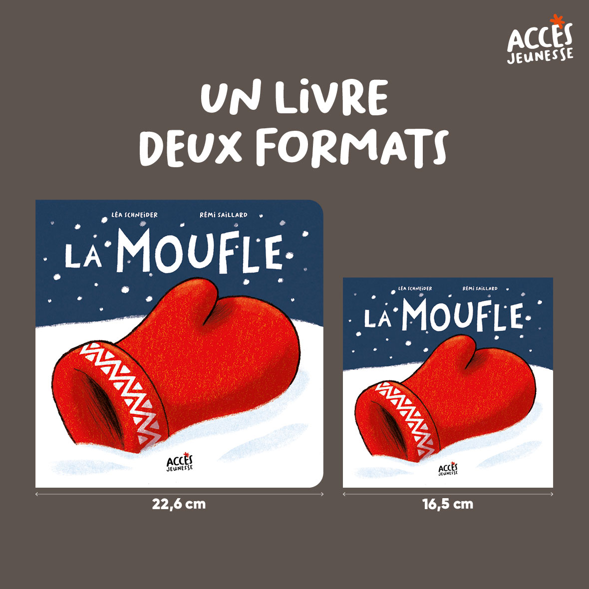 La moufle miniature format acces jeunesse