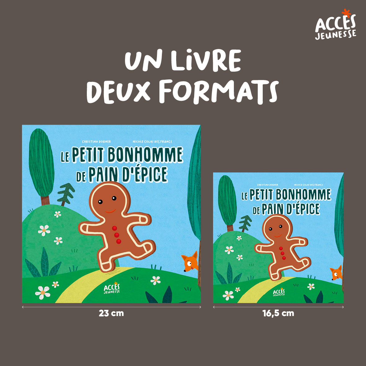 Le petit bonhomme de pain d epice miniature format acces jeunesse
