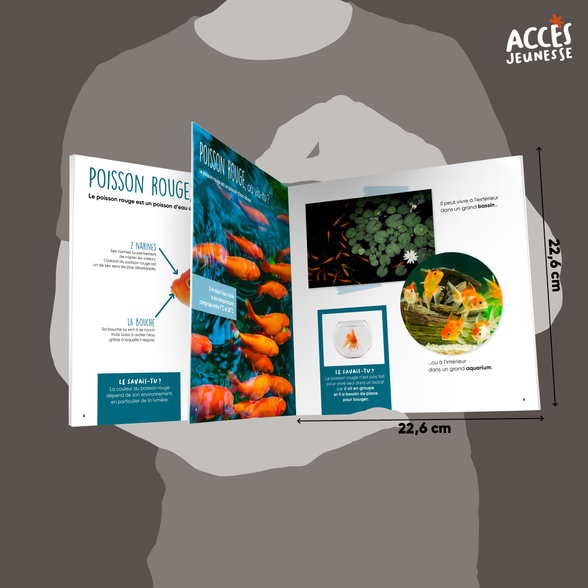 Documentaire le poisson rouge miniature acces jeunesse